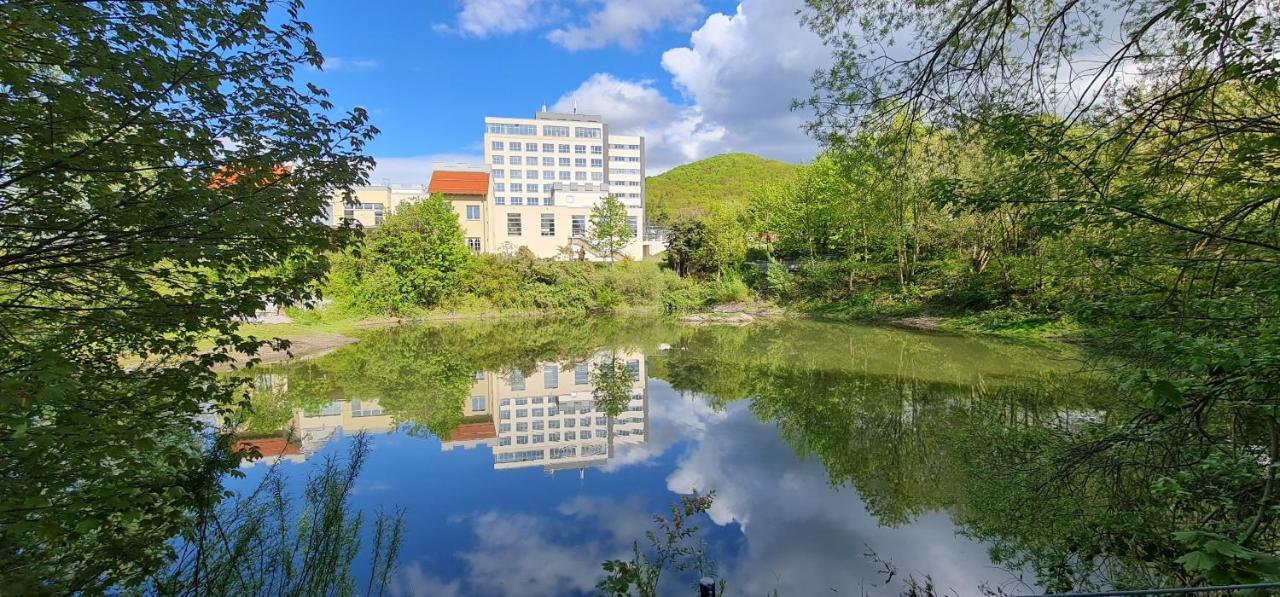 Hasseroeder Burghotel Wernigerode Bagian luar foto